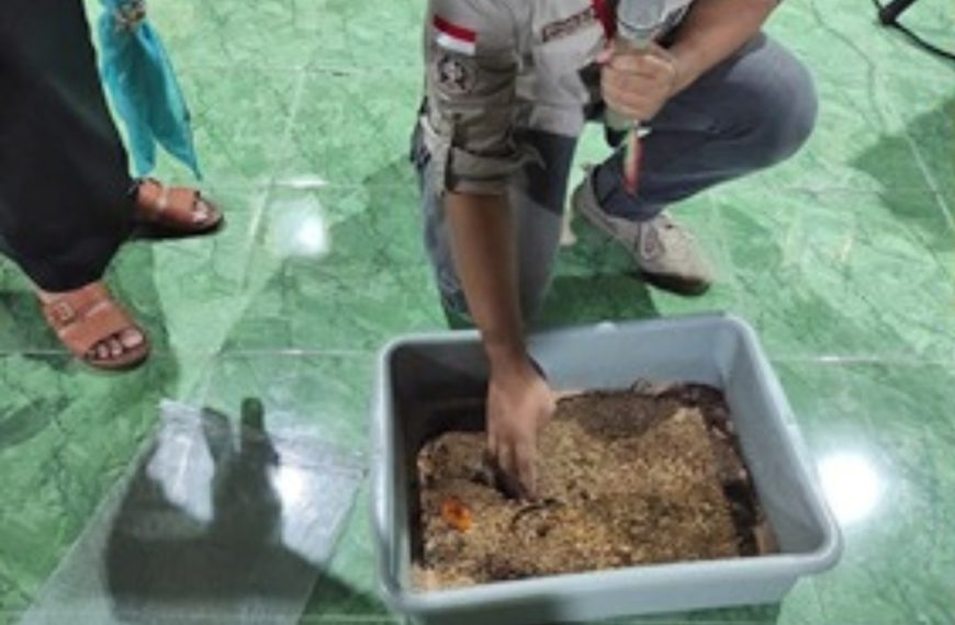 Budidayakan Maggot di Tegalsari, Mengurai Sampah Organik untuk Hasilkan Pakan Ternak 