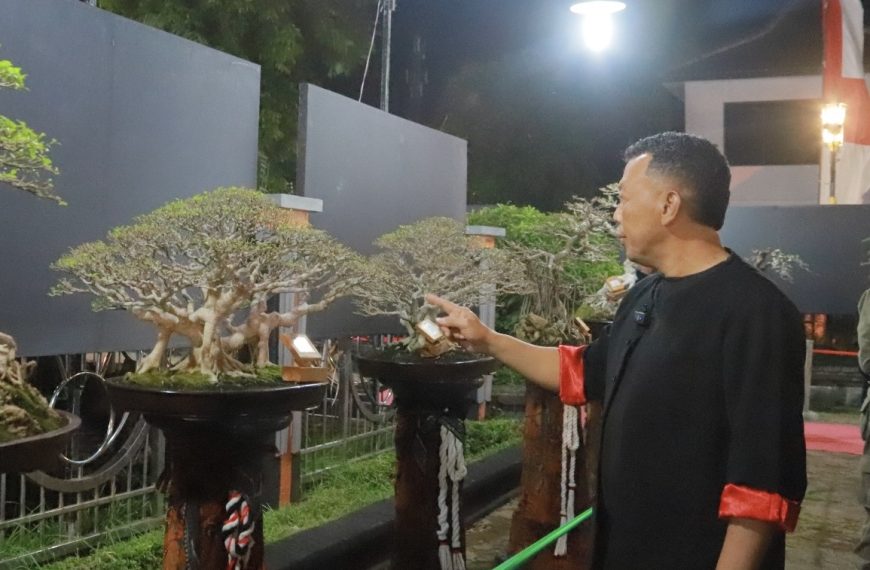 Tetap Andil di Grebeg Suro 2025, Samandiman Bonsai Club Sedang Siapkan Pameran Skala Besar