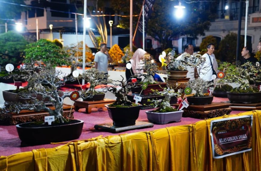 Grebeg Suro 2026 Manjakan Pehobi Bonsai, Dua Lokasi Pameran, Durasi Kontes Panjang