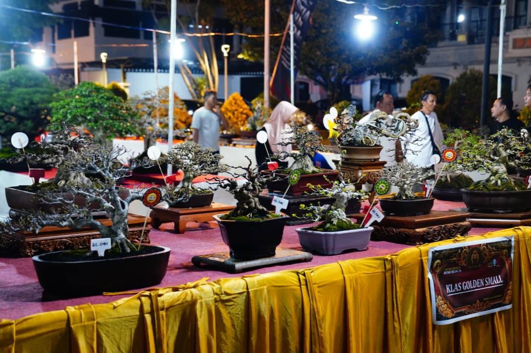 Grebeg Suro 2026 Manjakan Pehobi Bonsai, Dua Lokasi Pameran, Durasi Kontes Panjang
